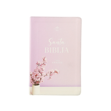 Mostrar detalles de Biblia RVR1960 Manual Letra Grande Colección Supreme Lila con jarrón Imagen de Biblia RVR1960 Manual Letra Grande Colección Supreme Lila con jarrón