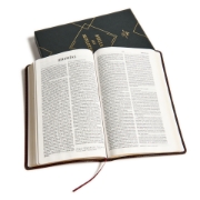 Imagen de Biblia del Ministro RVR1960 (negro piel fabricada)
