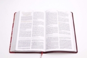 Imagen de Biblia de Estudio para Mujeres RVR1960 (vinotinto/fucsia simil piel)