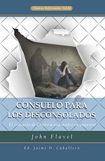 Imagen de Consuelo para los Desconsolados