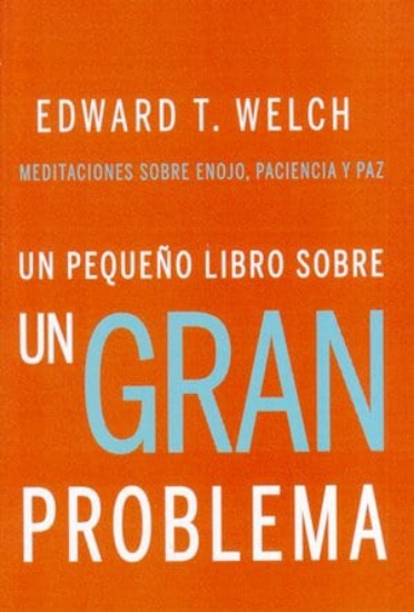 Imagen de Un Pequeño Libro Sobre un Gran Problema