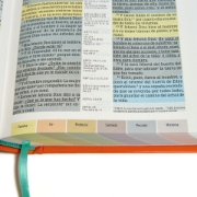 Imagen de Biblia de Estudio Arcoiris RVR1960, Morado/multicolor sImil piel