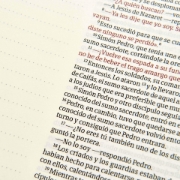 Imagen de Biblia de Apuntes Edicion Letra Grande NVI (blanco y azul sImil piel)