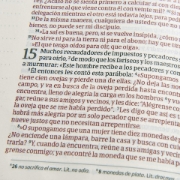 Imagen de Biblia de Apuntes Edicion Letra Grande NVI (azulejos color salvia, sImil piel)