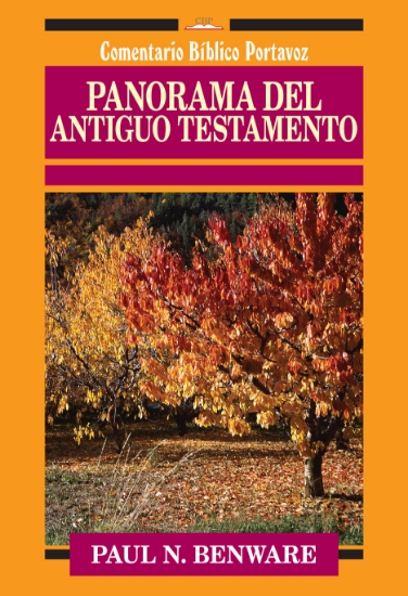 Imagen de Panorama del Antiguo Testamento