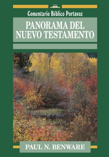 Imagen de Panorama del Nuevo Testamento