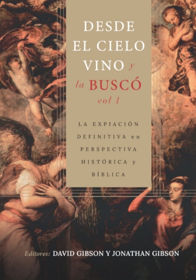 Imagen de Desde el cielo vino y la busco - Vol. 1