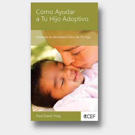 Imagen de Como Ayudar a Tu Hijo Adoptivo