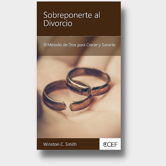 Imagen de Sobreponerte al Divorcio