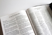 Imagen de Biblia RVR1960 tamaño manual, simil piel con solapa e iman