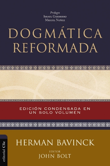 Imagen de Dogmatica Reformada