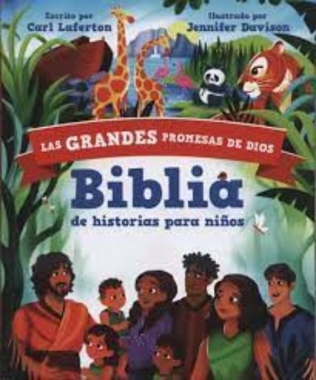 Imagen de Biblia las grandes promesas de Dios