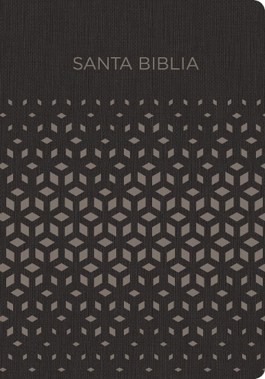 Imagen de Biblia RVR1960 Regalos y premios negro y plata imitacion piel