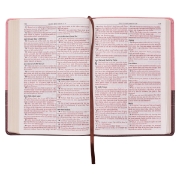 Imagen de Pink and Brown Large Print Faux Leather Thinline King James Version Bible