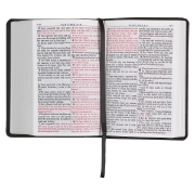 Imagen de Black Faux Leather Large Print Compact King James Version Bible