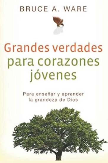 Imagen de Grandes verdades para corazones jovenes