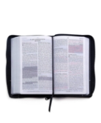 Imagen de Santa Biblia de Promesas Reina-Valera 1960 / Tamaño Manual / Letra Grande / Piel Especial con Cierre / Negra