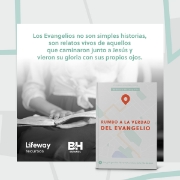 Imagen de Rumbo a la verdad del evangelio - Estudio Biblico para Jovenes