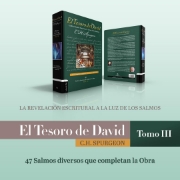 Imagen de El Tesoro de David III: La revelación escritural a la luz de los Salmos