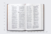 Imagen de RVR60, Santa Biblia, Premio y Regalo, Letra grande, Tapa dura, Isaías 53, Palabras de Jesús en Rojo, Comfort Print