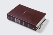 Imagen de Biblia de Estudio actualizada, Revisión 2022, NVI