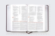 Imagen de Biblia de Estudio actualizada, Revisión 2022, NVI