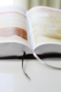 Imagen de Biblia de Estudio actualizada, Revisión 2022, NVI