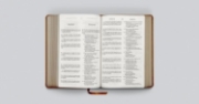 Imagen de Biblia bilingüe RVR60