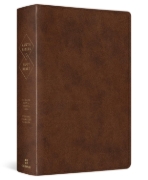 Imagen de Biblia bilingüe RVR1960/ESV
