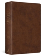 Imagen de Biblia bilingüe RVR60