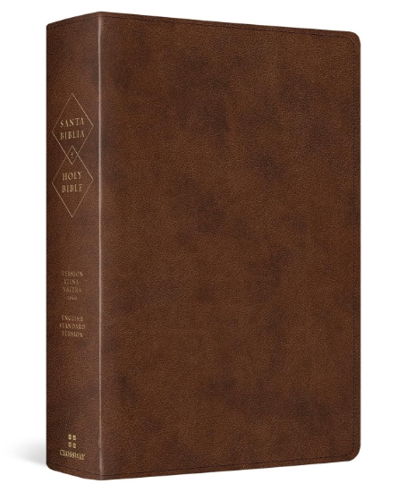 Imagen de Biblia bilingüe RVR60