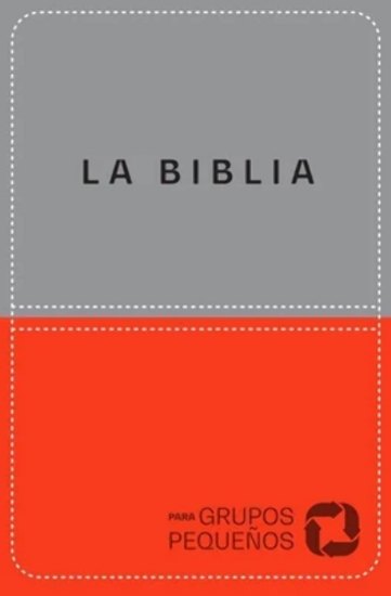 Imagen de Biblia para grupos pequeños - NBV lujo