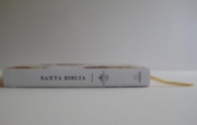 Imagen de Biblia RVR 1960 letra grande tamaño manual, HC, flores rosadas y cantos pintados