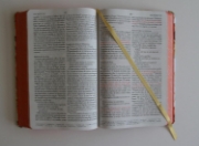 Imagen de Biblia RVR 1960 letra grande tamaño manual, HC, flores rosadas y cantos pintados