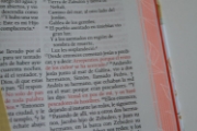 Imagen de Biblia RVR 1960 letra grande tamaño manual, HC, flores rosadas y cantos pintados