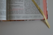 Imagen de Biblia RVR 1960 letra grande tamaño manual, HC, flores rosadas y cantos pintados
