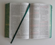 Imagen de Biblia RVR 1960 letra grande tamaño manual, tapa dura con flores blancas y cantos pintados