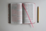 Imagen de Biblia Reina Valera 1960 letra grande. Piel rosada con flores, tamaño manual