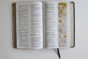 Imagen de Biblia Reina Valera 1960 letra grande. Piel verde con flores, tamaño manual