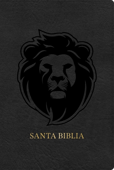 Imagen de RVR 1960 Biblia letra grande tamaño manual edición especial, ceniza, símil piel