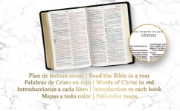 Imagen de RVR 1960 Biblia letra grande tamaño manual edición especial, acuarela, símil piel