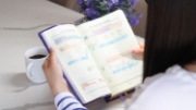 Imagen de NBLA, Nueva Biblia para el estudio inductivo, Leathersoft, Interior a dos colores, Morado, Comfort Print