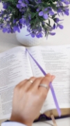 Imagen de NBLA, Nueva Biblia para el estudio inductivo, Leathersoft, Interior a dos colores, Morado, Comfort Print