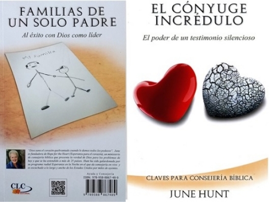 Imagen de El cónyuge incrédulo y familias de un solo padre (2 en 1) - Bolsillo