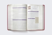 Imagen de RVR, Biblia de estudio trasfondo cultural (El contexto lo cambia todo), Leathersoft, Rojo vino, Interior a color, Comfort Print