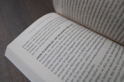 Imagen de ¿Por qué confiar en la Biblia?
