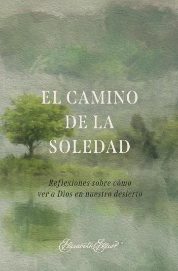 Imagen de El camino de la soledad