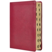 Imagen de RVR, Biblia de estudio trasfondo cultural (El contexto lo cambia todo), Leathersoft, Rojo vino, Interior a color, Comfort Print - Con índice