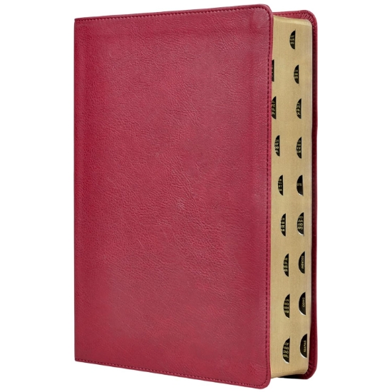 Imagen de RVR, Biblia de estudio trasfondo cultural (El contexto lo cambia todo), Leathersoft, Rojo vino, Interior a color, Comfort Print - Con índice