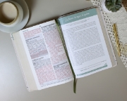 Imagen de Biblia de Promesas RVR1960, Virtuosa, Letra gigante, Piel especial, Crema